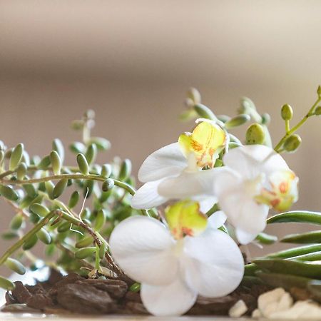 Villa Orselina - Small Luxury Hotel Muralto Εξωτερικό φωτογραφία