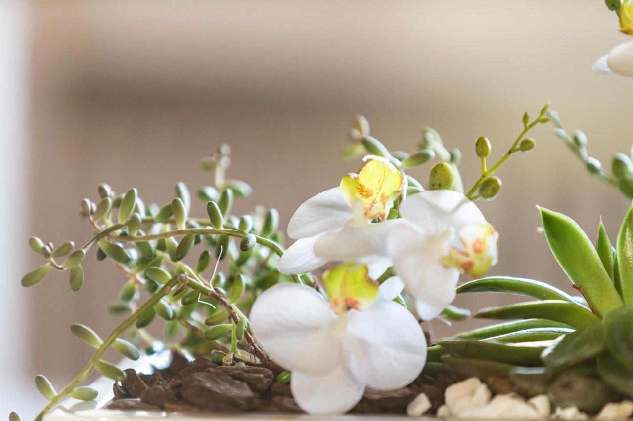 Villa Orselina - Small Luxury Hotel Muralto Εξωτερικό φωτογραφία